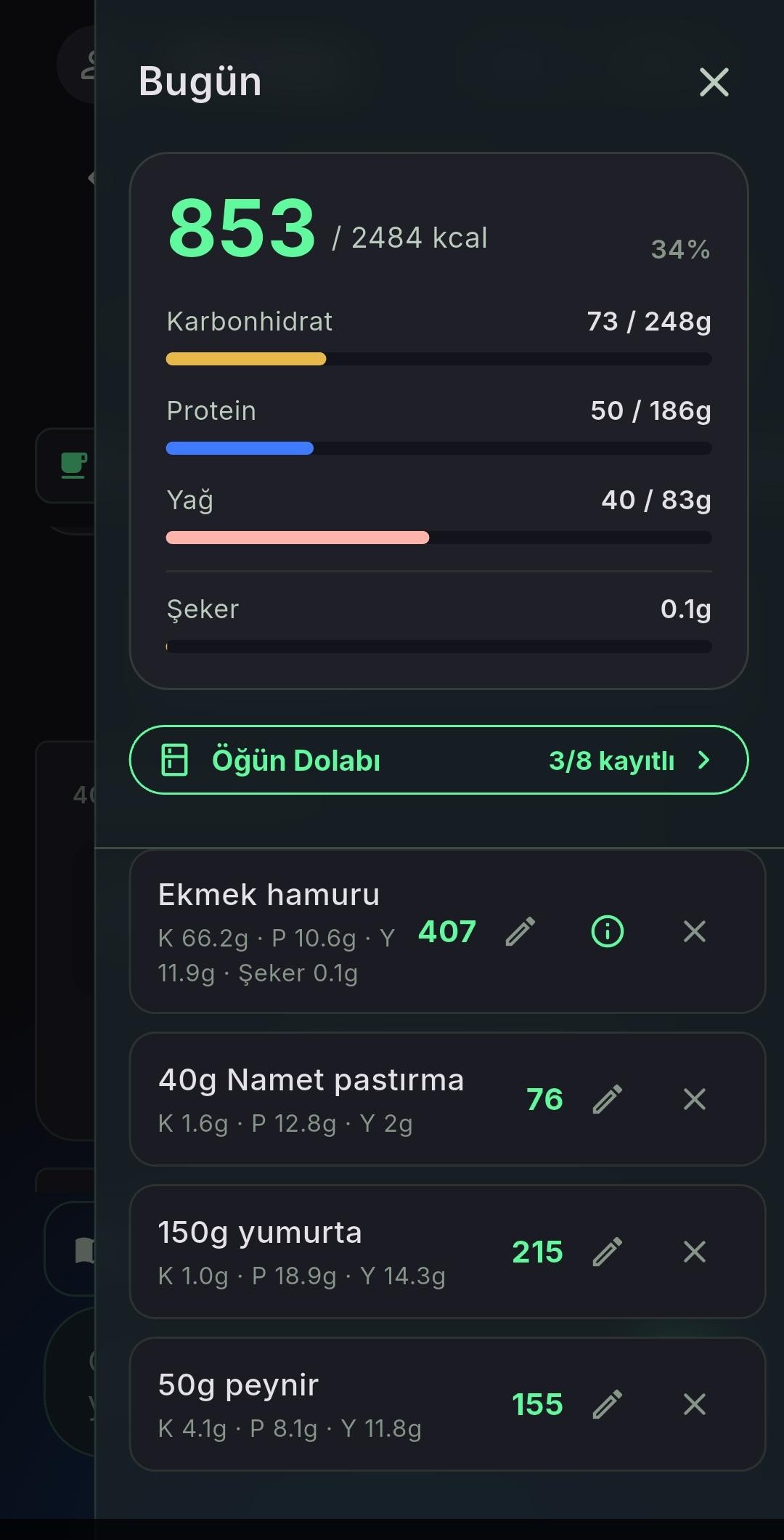 MilonApp başka bir güne ait kayıt özeti